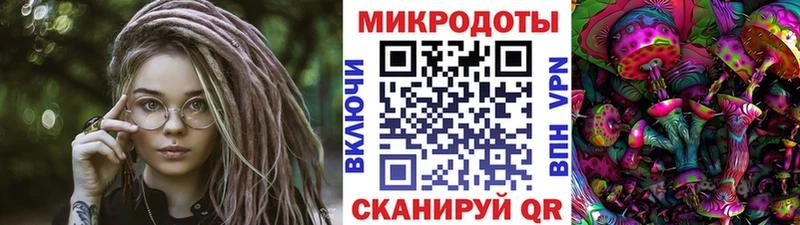 купить наркотики сайты  МЕГА ТОР  Псилоцибиновые грибы мухоморы  Нерчинск 